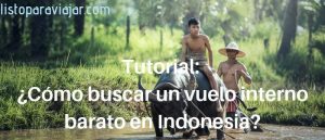 vuelo interno indonesia